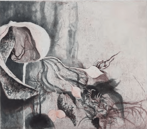 Leeks II_intaglio w chine colle_15x17 copy Leeks II